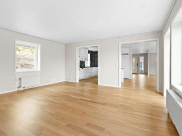 sr_perfectshot_osa8134