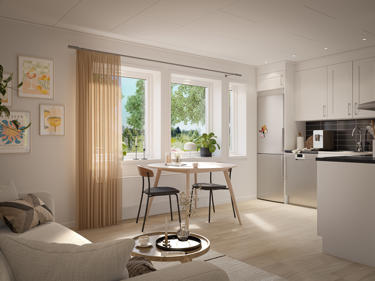 ah_2024_majaplus_int_ungdom_kok