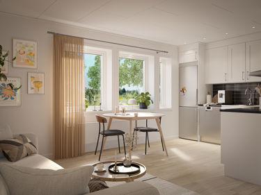 ah_2024_majaplus_int_ungdom_kok