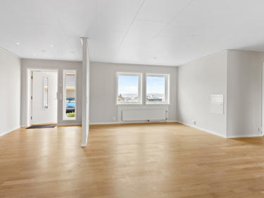 sr_perfectshot_osa8113