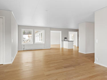 sr_perfectshot_osa8109