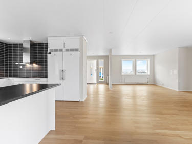 sr_perfectshot_osa8102