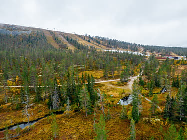 Vy mot skog och skidbacke.