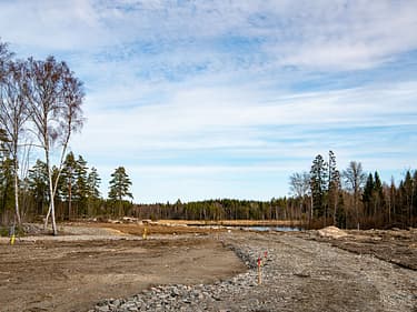 _dsc3095