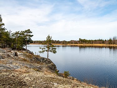 _dsc3087