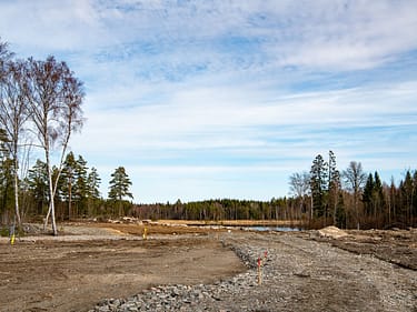 _dsc3095