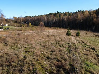 dronare-5-minde